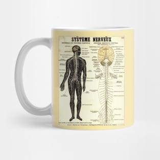 Vintage Poster of the Nervous System Mug